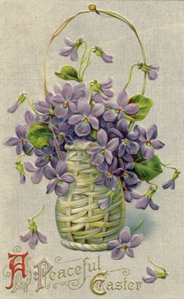 Postcard 1910 A Peaceful Easter with violet basket Stretched Canvas - Unknown (24 x 36)
