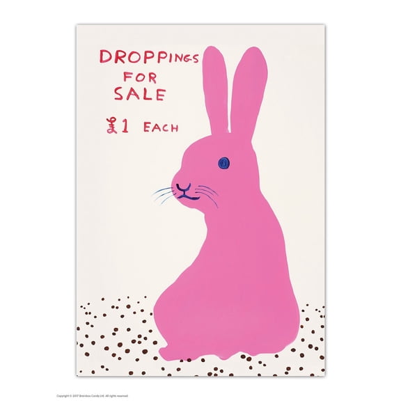 Postcard - Funny A6 Print - Droppings For Sale