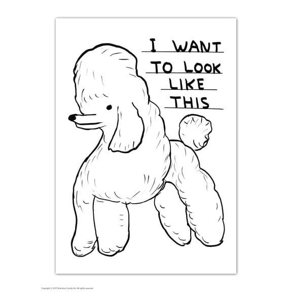 Postcard - Funny A6 Print - Want To Look Like This