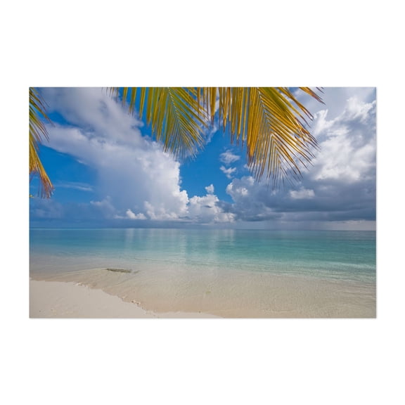 Postcard Perfection. Maldives - Maldives Photography Beach Ocean Tropical Palm Tree Coast Summer Scenic Unframed Wall Art Print 32 x 48 inches