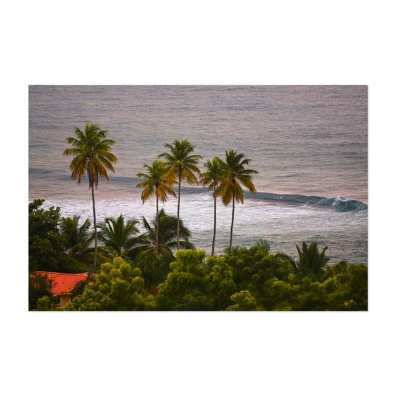 Postcard From Puerto Rico - Rincón Puerto Rico Photography Tropical Palm Tree Beach Ocean Coastal Seascape Landscape Unframed Wall Art Print 4 x 6 inches