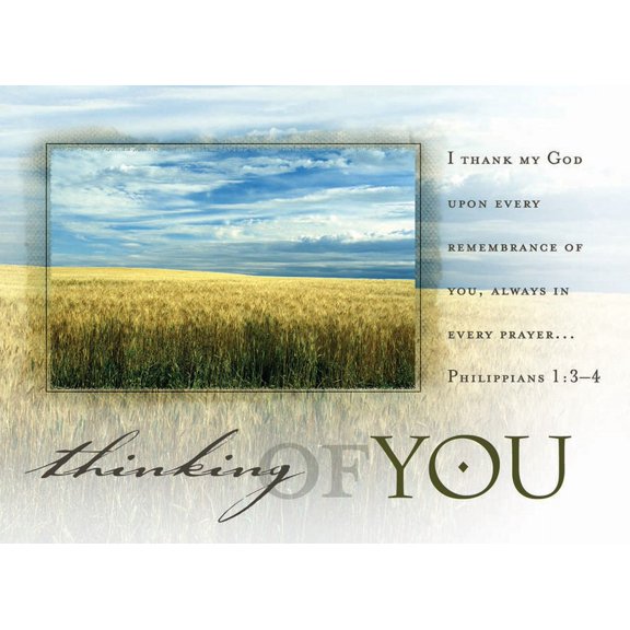 Postcard-Thinking Of You/Field (Philippians 1:3-4 Kjv) (Pack Of 25)