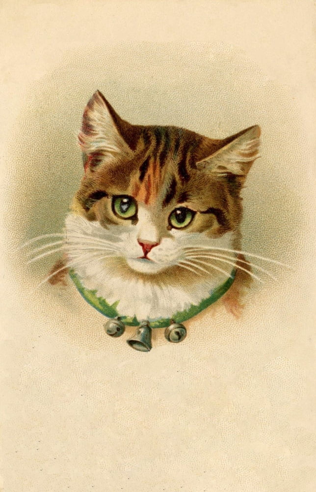 Postcard c1890 Cat with bell collar Canvas Art - Unknown (24 x 36)