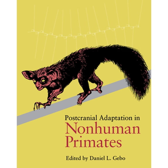 Pre-Owned Postcranial Adaptation (Paperback) 0875805590 9780875805597