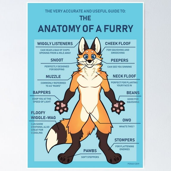 Poster Anatomy Of A Furry (Print) - No Framed, Vintage Wall Art, Trendy Retro Print, Positive Quote Poster, Room Decor, Wall Art, 8x12