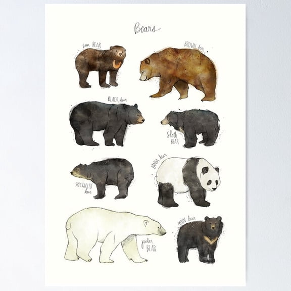 Poster Bears - No Framed, Vintage Wall Art, Trendy Retro Print, Positive Quote Poster, Room Decor, Wall Art, 12x18