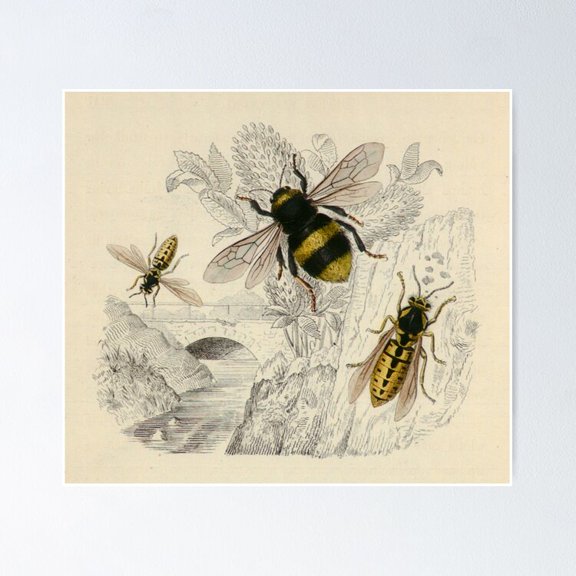 Poster Bee And Wasps - No Framed, Vintage Wall Art, Trendy Retro Print, Positive Quote Poster, Room Decor, Wall Art, 12x18