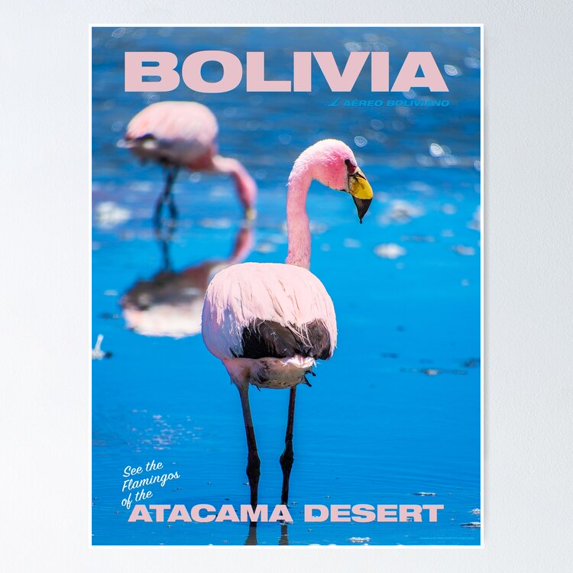 Poster Bolivia Flamingos Travel - No Framed, Vintage Wall Art, Trendy Retro Print, Positive Quote Poster, Room Decor, Wall Art, 12x18