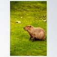 thumbnail image 1 of Poster Capybara - No Framed, Vintage Wall Art, Trendy Retro Print, Positive Quote Poster, Room Decor, Wall Art, 12x18, 1 of 2