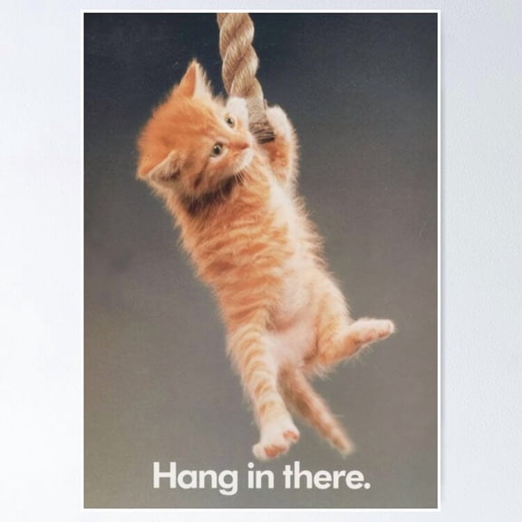 Poster Cat Hang In There. Vintage Wall Art Trendy Retro Print Positive Quote Poster Room Decor Wall Art