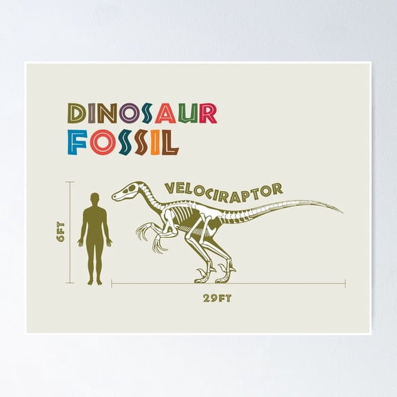 Poster Dino Velociraptor Fossil - No Framed, Vintage Wall Art, Trendy Retro Print, Positive Quote Poster, Room Decor, Wall Art, Poster Only