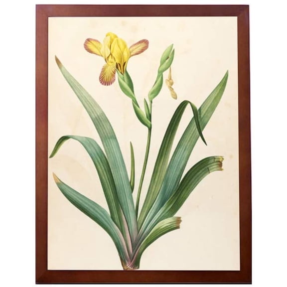 Poster Frame A3 -Actual Fits 11 3/4x16 1/2 inch Photo,Print,Poster,Portrait or Artwork Frame 3/4 Inch Wide,Hanging Picture Frame (Brown)