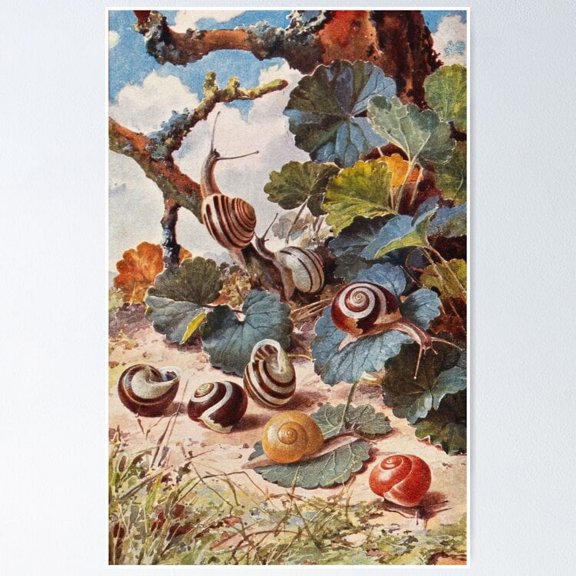 Poster Garden Snails - No Framed, Vintage Wall Art, Trendy Retro Print, Positive Quote Poster, Room Decor, Wall Art, 8x12