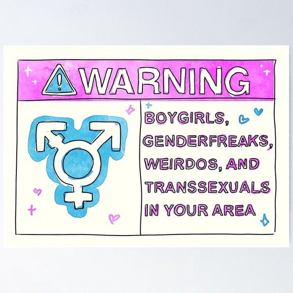 Poster Gender Warning!!! - No Framed, Vintage Wall Art, Trendy Retro Print, Positive Quote Poster, Room Decor, Wall Art, 12x18