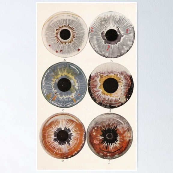 Poster Iris Colors - No Framed, Vintage Wall Art, Trendy Retro Print, Positive Quote Poster, Room Decor, Wall Art, 12x18