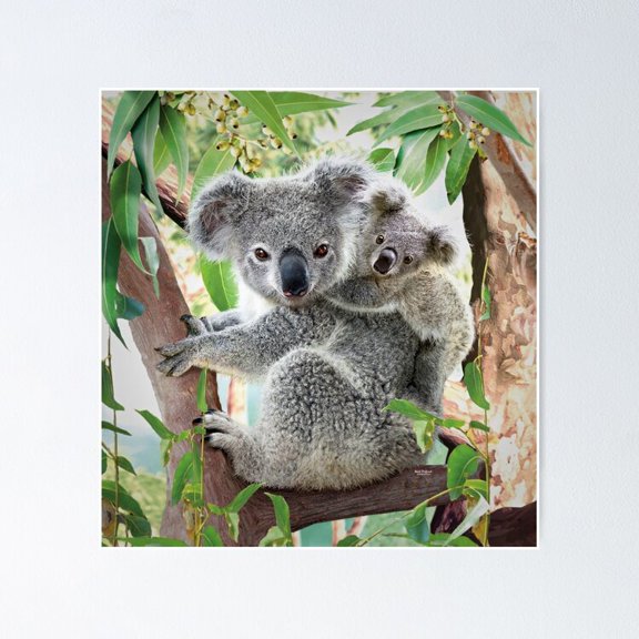 Poster Koala Cuddles - No Framed, Vintage Wall Art, Trendy Retro Print, Positive Quote Poster, Room Decor, Wall Art, 24x36