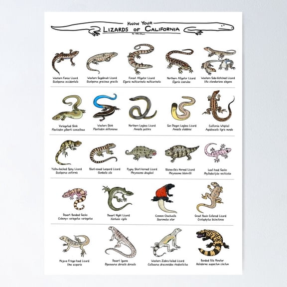 Poster Lizards Of California - No Framed, Vintage Wall Art, Trendy Retro Print, Positive Quote Poster, Room Decor, Wall Art, 24x36