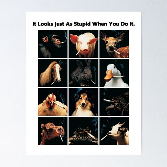 Poster It Looks Just As Stupid When You Do It | Funny Anti Smoking Animals - No Framed, Vintage Wall Art, Trendy Retro Print, Positive Quote Poster, Room Decor, Wall Art, 12x18