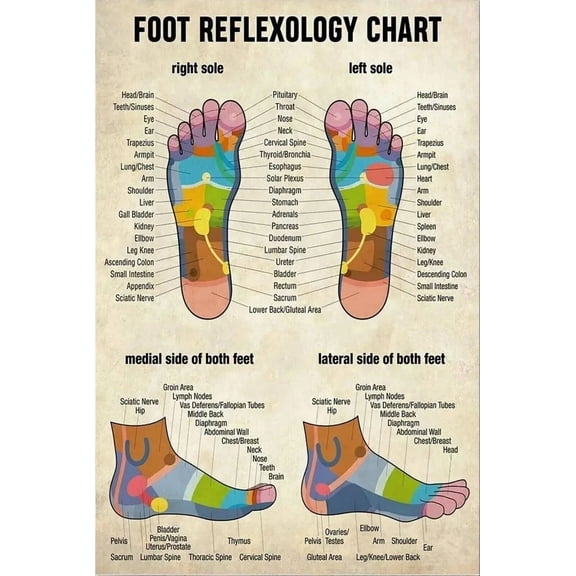 Poster Massage Massage Therapist Foot Reflexology Chart Wrapped Poster Prints Wall Art For Home Decor Or Office Great Gift Idea For Friends & Family