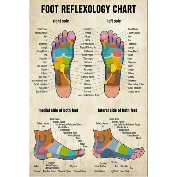 Poster Massage- Massage Therapist Foot Reflexology Chart Wrapped - UNFRAMED Poster Prints, Wall Art For Home Decor Or Office - Great Gift Idea For Friends & Family, 18x24