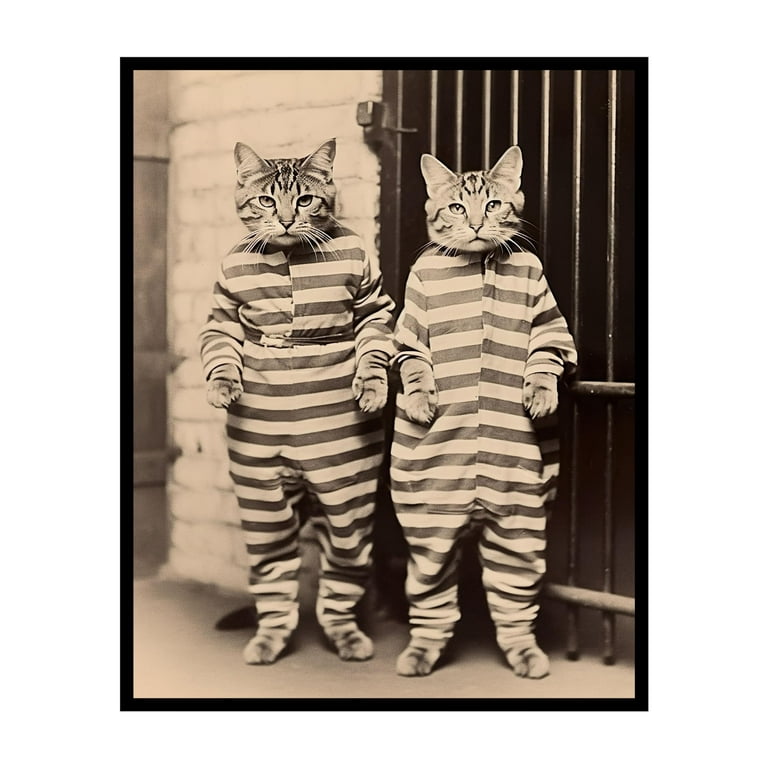 Cats dressed hot sale as old people