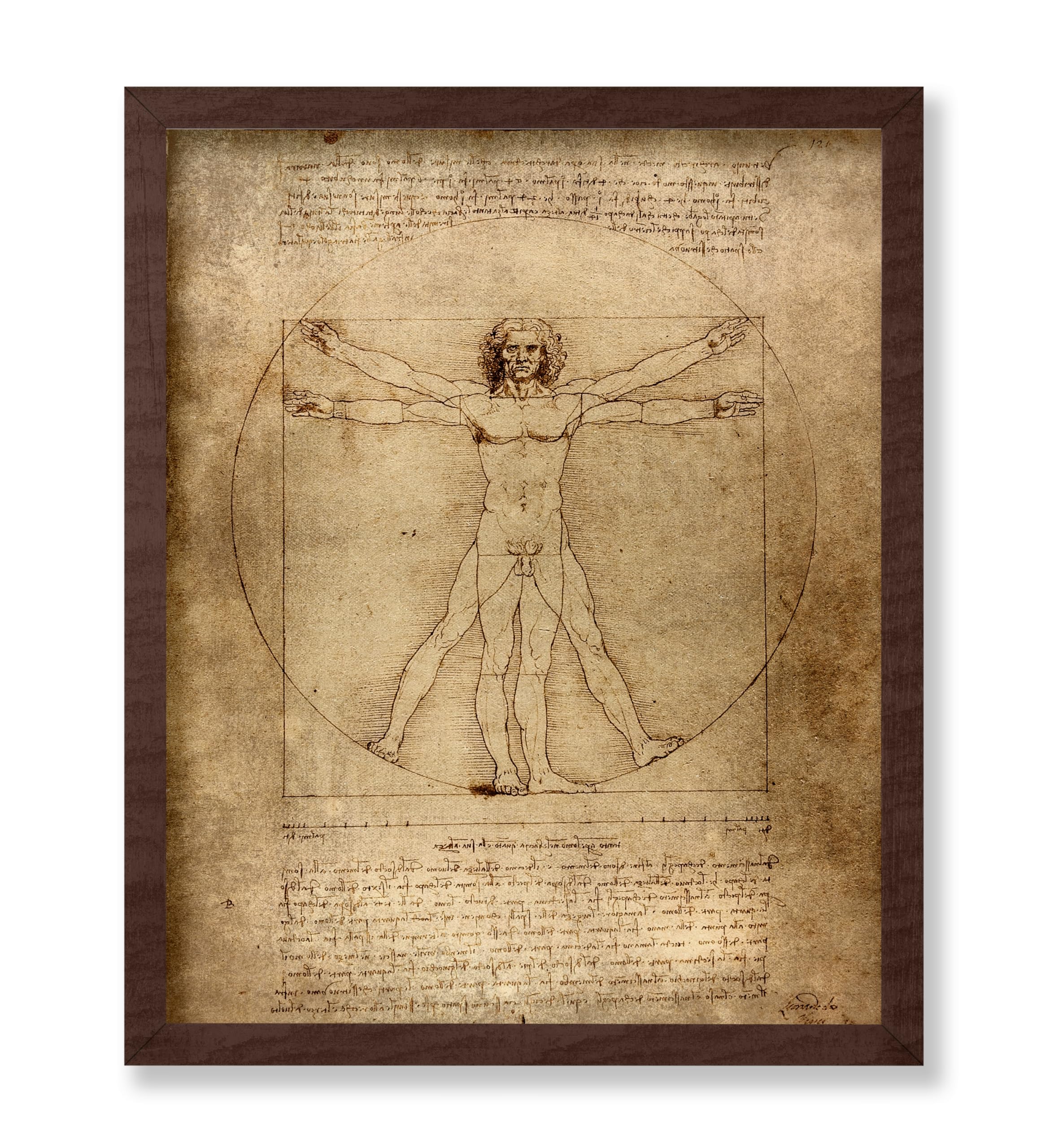 Poster Master Classic Leonardo Da Vinci Poster - Vintage Renaissance ...