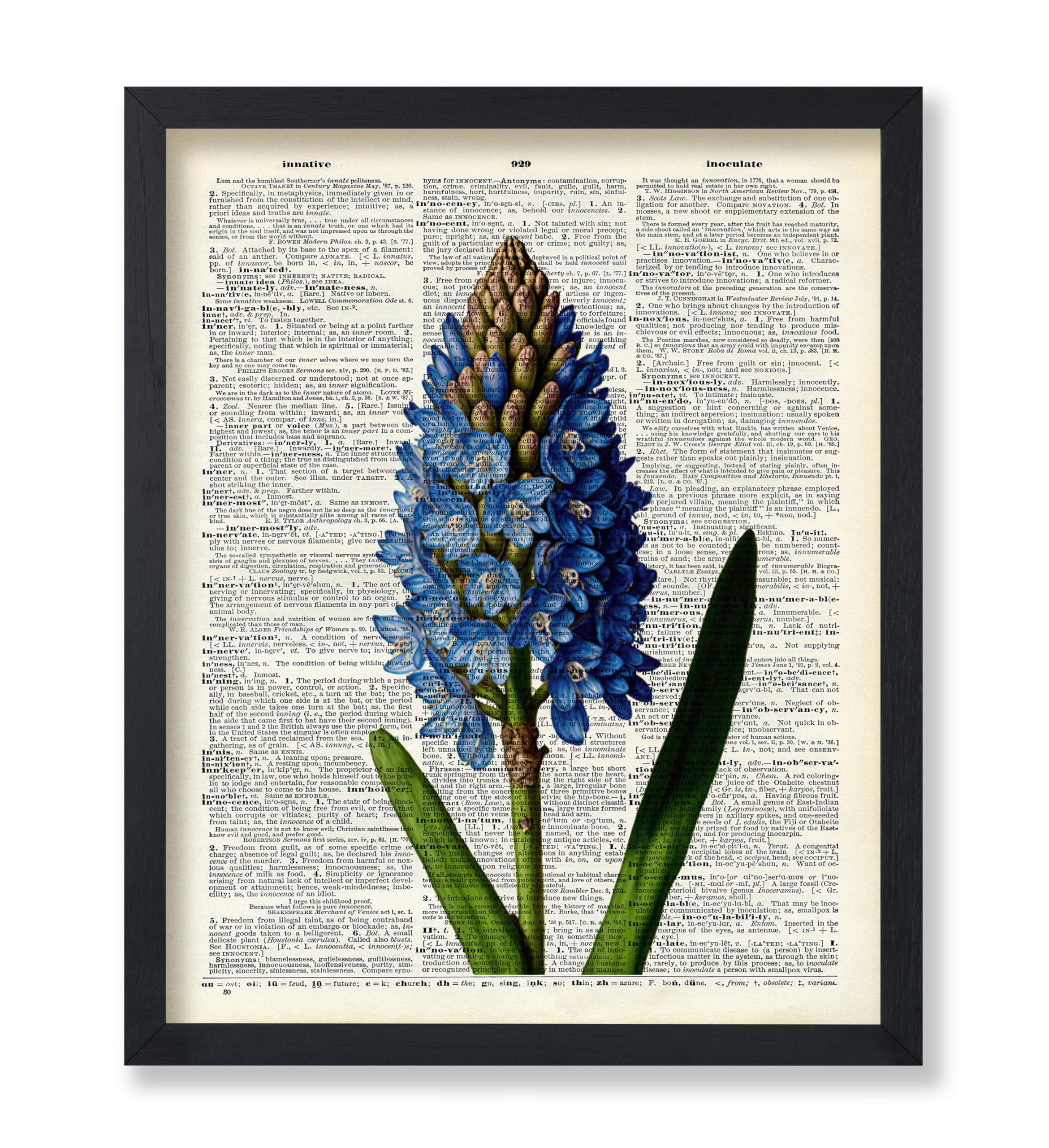 Poster Master Dictionary Art Poster - Blue Hyacinth Print - Flower Art ...