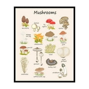 Poster Master Mushroom Poster - Botanical Print - Learning Materials Art - Educational Art - Plant Art - Gift for Students & Teacher - Decor for Classroom, Library or Nursery - 8x10 UNFRAMED Wall Art