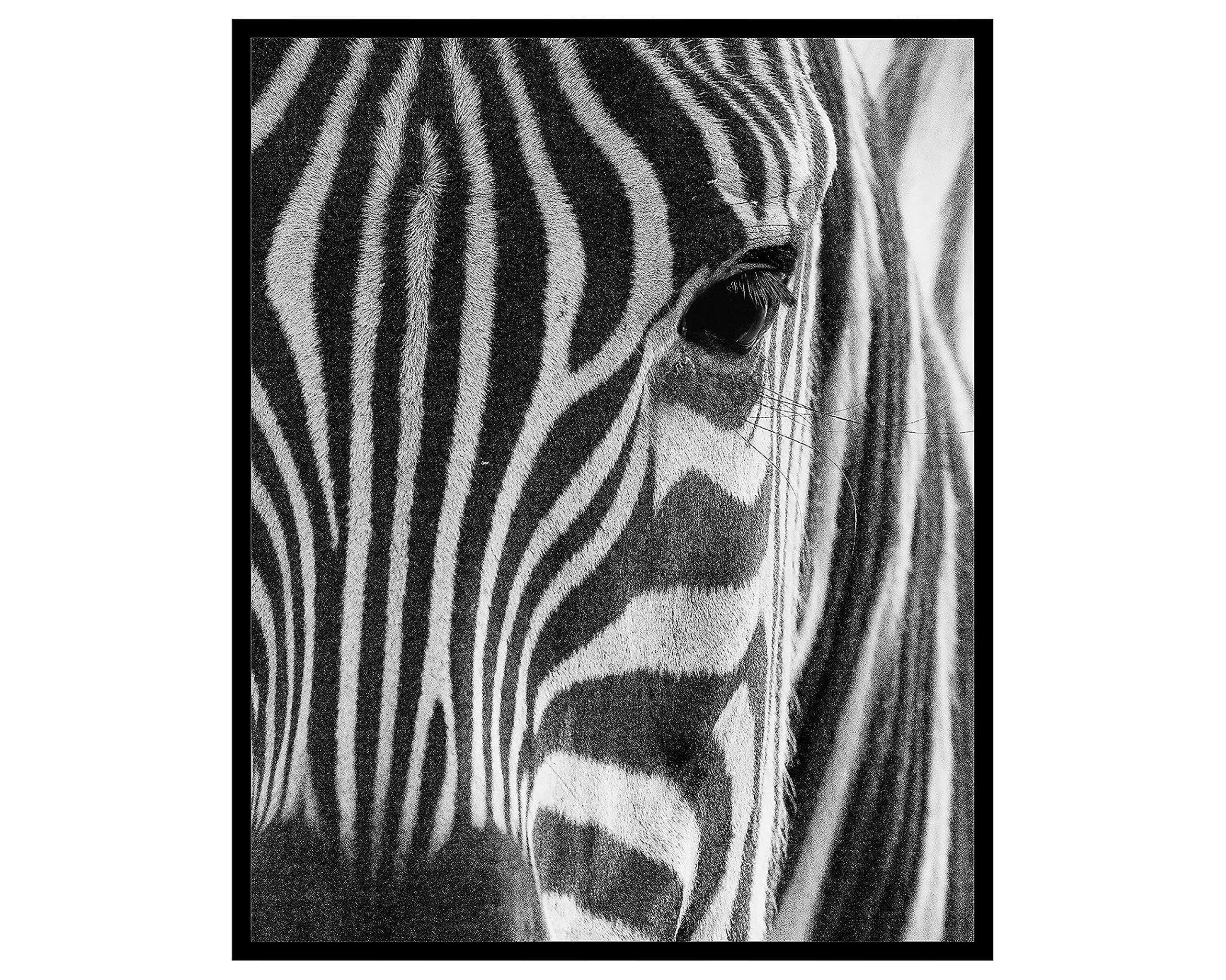 Poster Master Photograph Poster - Retro Animal Print - Striped Zebra