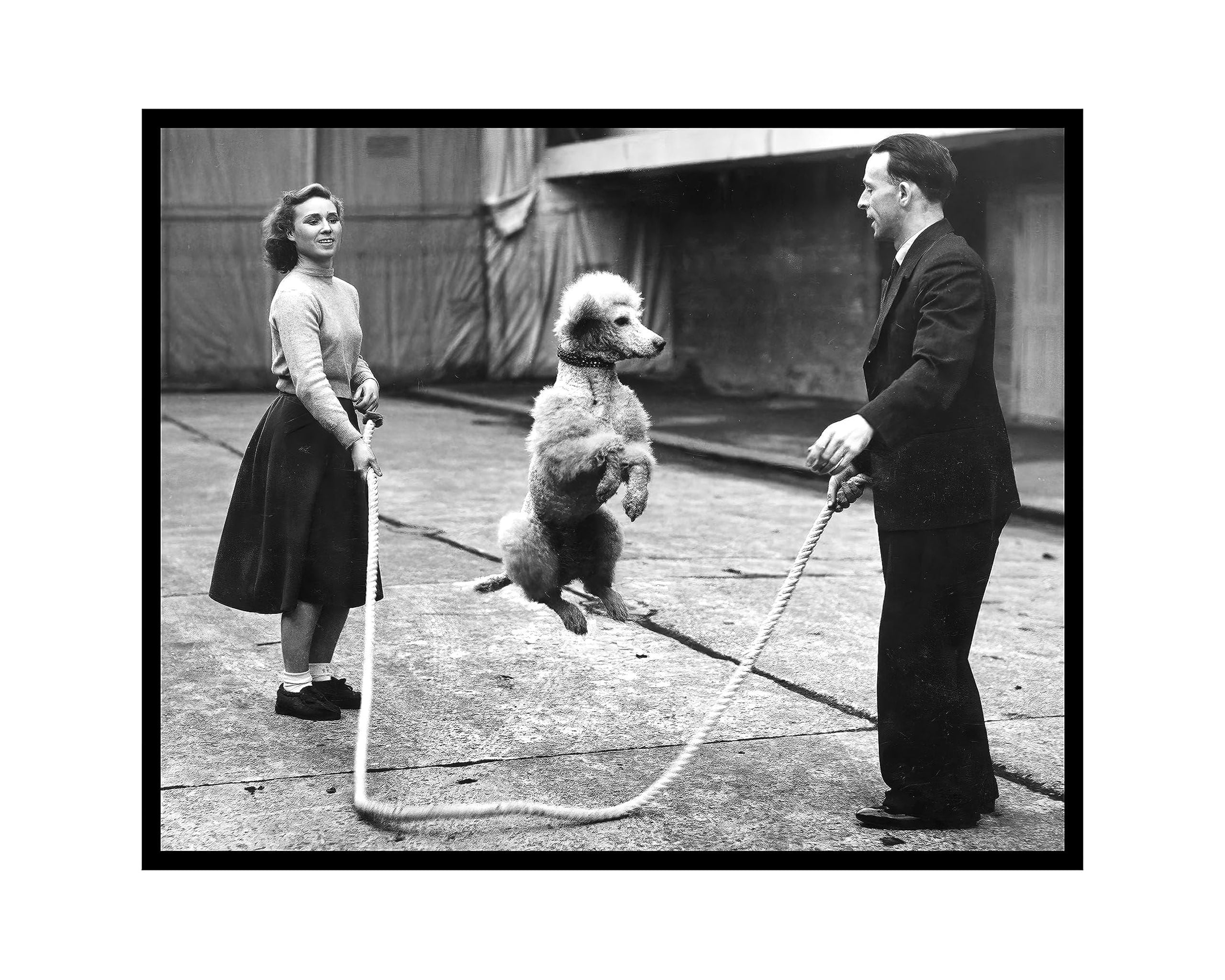 Poster Master Vintage Dog Poster Retro Poodle Jumping Rope Print