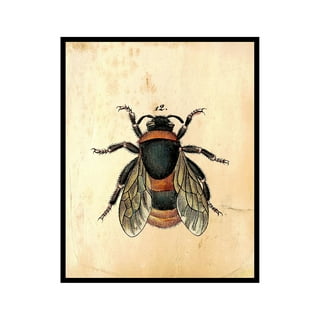 https://i5.walmartimages.com/seo/Poster-Master-Vintage-Illustration-Retro-Entomology-Print-16x20-UNFRAMED-Wall-Art-Gift-Artist-Friend-Bumble-Bee-Honey-Beautiful-Insect-Decor-Living-R_6e60aa23-b9df-43e9-be02-a6162a705e79.05d34f39a3cc03e95c9ea3739316bc4e.jpeg?odnHeight=320&odnWidth=320&odnBg=FFFFFF