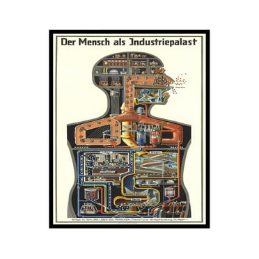 Poster Master Vintage Poster - Man As Industrial Palace - Fritz Kahn 1926 - 8x10 Unframed Wall Art - Unique Wall Decor for Home, Dem and Office - Great Vintage Gift - Der Mensch Als Industrielpalast