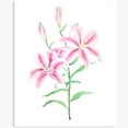 thumbnail image 1 of Kna Prints - Poster Pink Lily Flower Watercolor Poster No Framed, Wall Art, UNFRAMED-8x12, 1 of 2