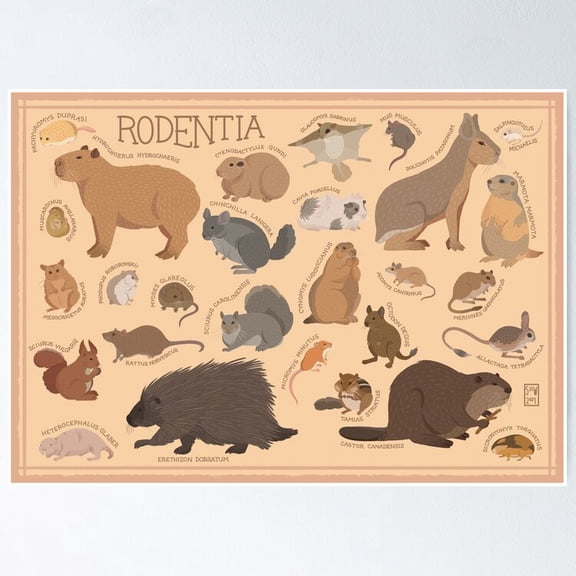 Poster Rodents Illustration - No Framed, Vintage Wall Art, Trendy Retro Print, Positive Quote Poster, Room Decor, Wall Art, 12x18