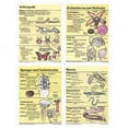 thumbnail image 1 of Poster Set Animals Invertebrates, 1 of 1