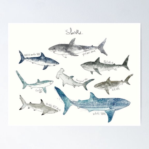 Poster Sharks - Landscape Format - No Framed, Vintage Wall Art, Trendy Retro Print, Positive Quote Poster, Room Decor, Wall Art, 8x12