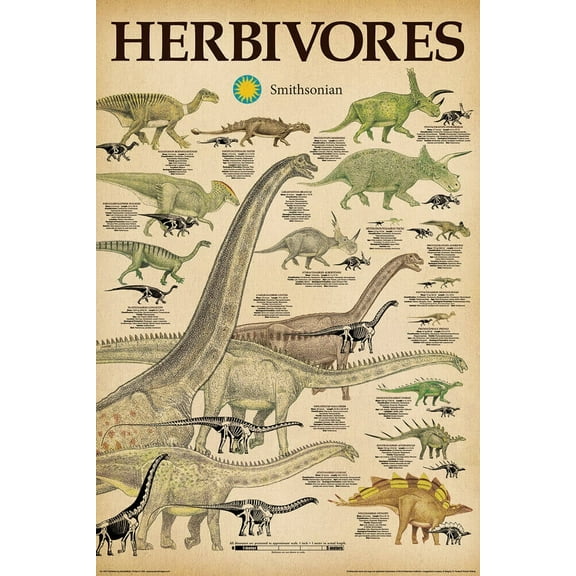 Smithsonian - Herbivores Poster 24" x 36"