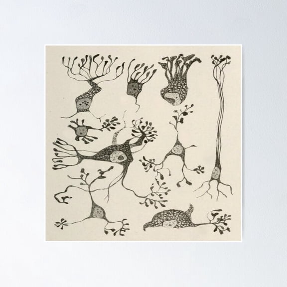 Poster Vintage Neuron Cells - No Framed, Vintage Wall Art, Trendy Retro Print, Positive Quote Poster, Room Decor, Wall Art, 8x12