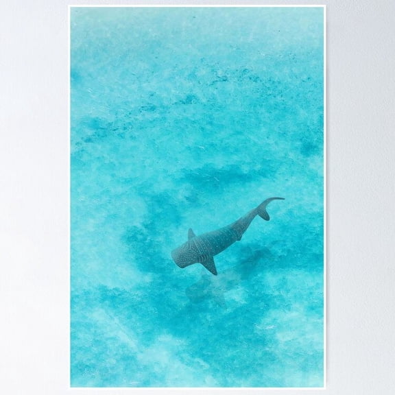 Poster Whale Shark Blue Ocean - No Framed, Vintage Wall Art, Trendy Retro Print, Positive Quote Poster, Room Decor, Wall Art, 8x12