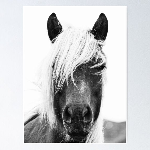 Poster Wild Horses, Horse Print, Horse Art, Poster, Wall Decor, Trendy Print, Animal Print, Interior Poster No Framed, 24x36