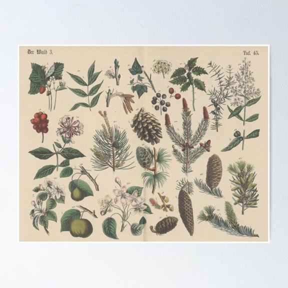 Poster Winter Botanical - No Framed, Vintage Wall Art, Trendy Retro Print, Positive Quote Poster, Room Decor, Wall Art, 8x12