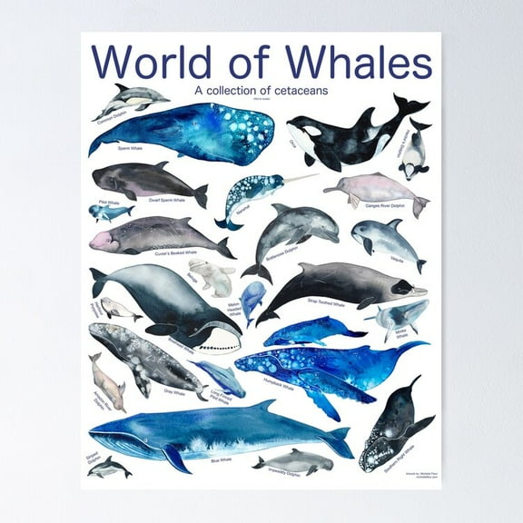 Poster World Of Whales - No Framed, Vintage Wall Art, Trendy Retro Print, Positive Quote Poster, Room Decor, Wall Art, 8x12