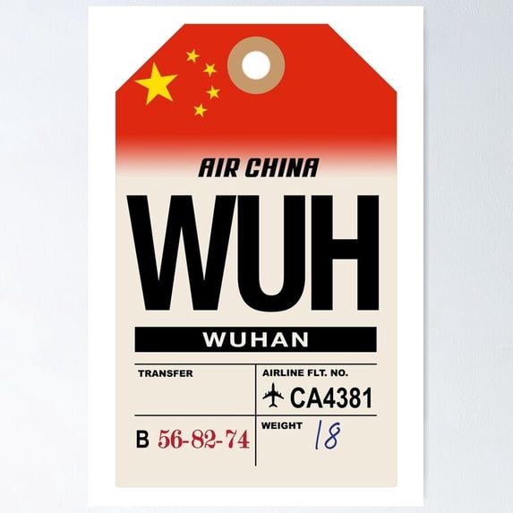 Poster Wuhan (Wuh) China Airline Luggage Tag - No Framed, Vintage Wall Art, Trendy Retro Print, Positive Quote Poster, Room Decor, Wall Art, 8x12