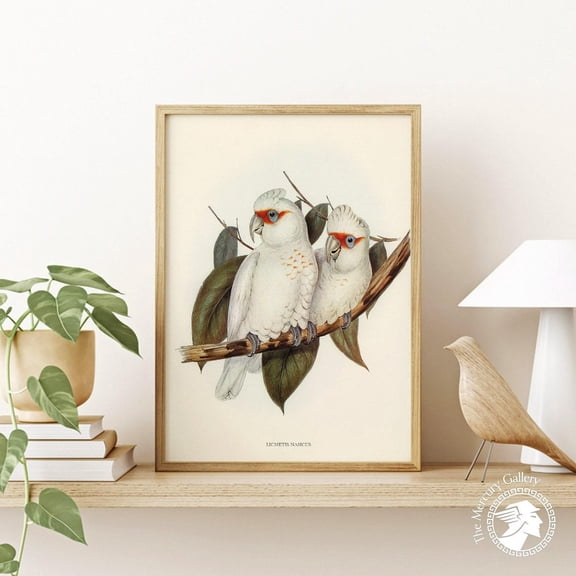 PosterArt Bird Poster, Long-billed Cockatoo Farmhouse Print, Vintage Botanical Wall Decoration, 8x12 UNFRAMED