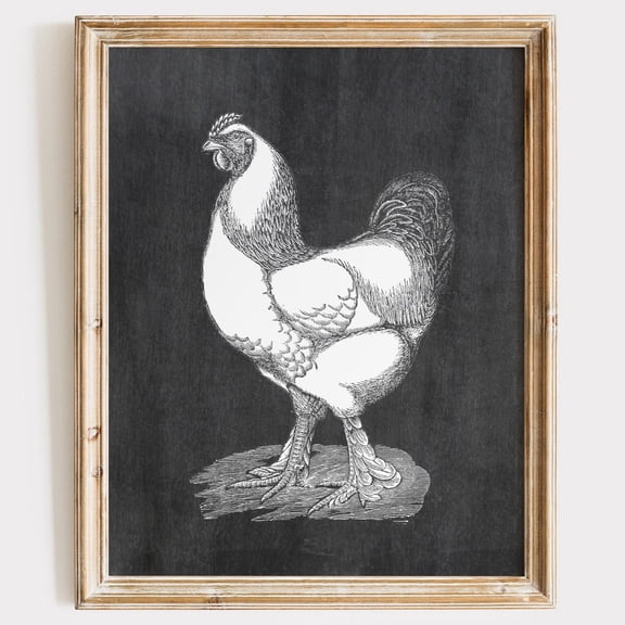 PosterArt Brahma Rooster Art Print Rustic Farmhouse Wall Décor for Kitchen or Dining Area, 12x18 UNFRAMED