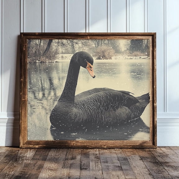 PosterArt Vintage Black Swan Art Print Dark Academia Wall Décor Moody Nature Poster Neutral Gothic Bird Design, 16x24 UNFRAMED