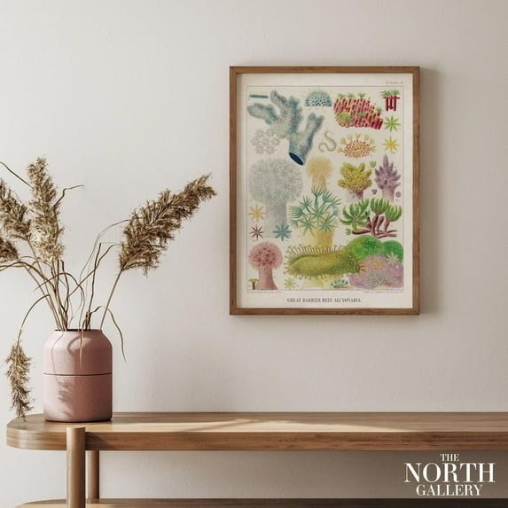 PosterArt Vintage Great Barrier Reef Wonders from 1893 Poster Wall Art, Farmhouse Wall Art, Nautical Decor, Vintage Poster, Size 12x18 UNFFRAMED