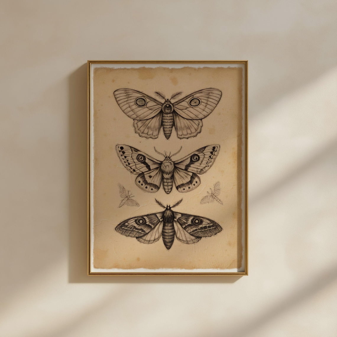 PosterArt Vintage Moths Poster Wall Art Print Spooky Home Decor Scary ...