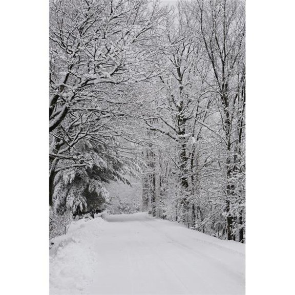 Posterazzi  A Snow Covered Road Lined with Leafless Trees in Winter - Brome Lake Quebec Canada Poster Print - 24 x 38 in. - Large