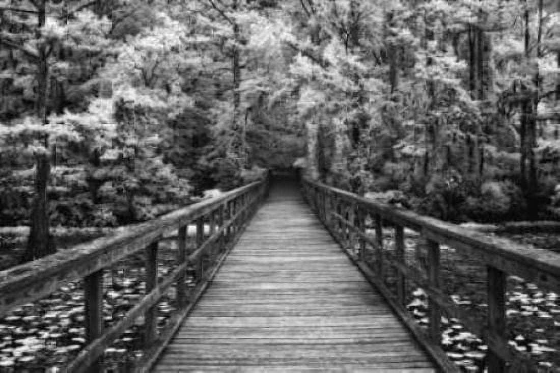 Posterazzi A Walk Into Tranquility Canvas Art - Mike Jones (24 x 36)
